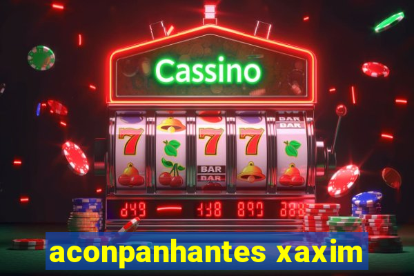 aconpanhantes xaxim